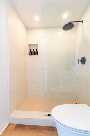 Shower, hair dryer, shampoo, toilet paper