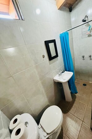 A bathroom with a toilet, sink, and shower.