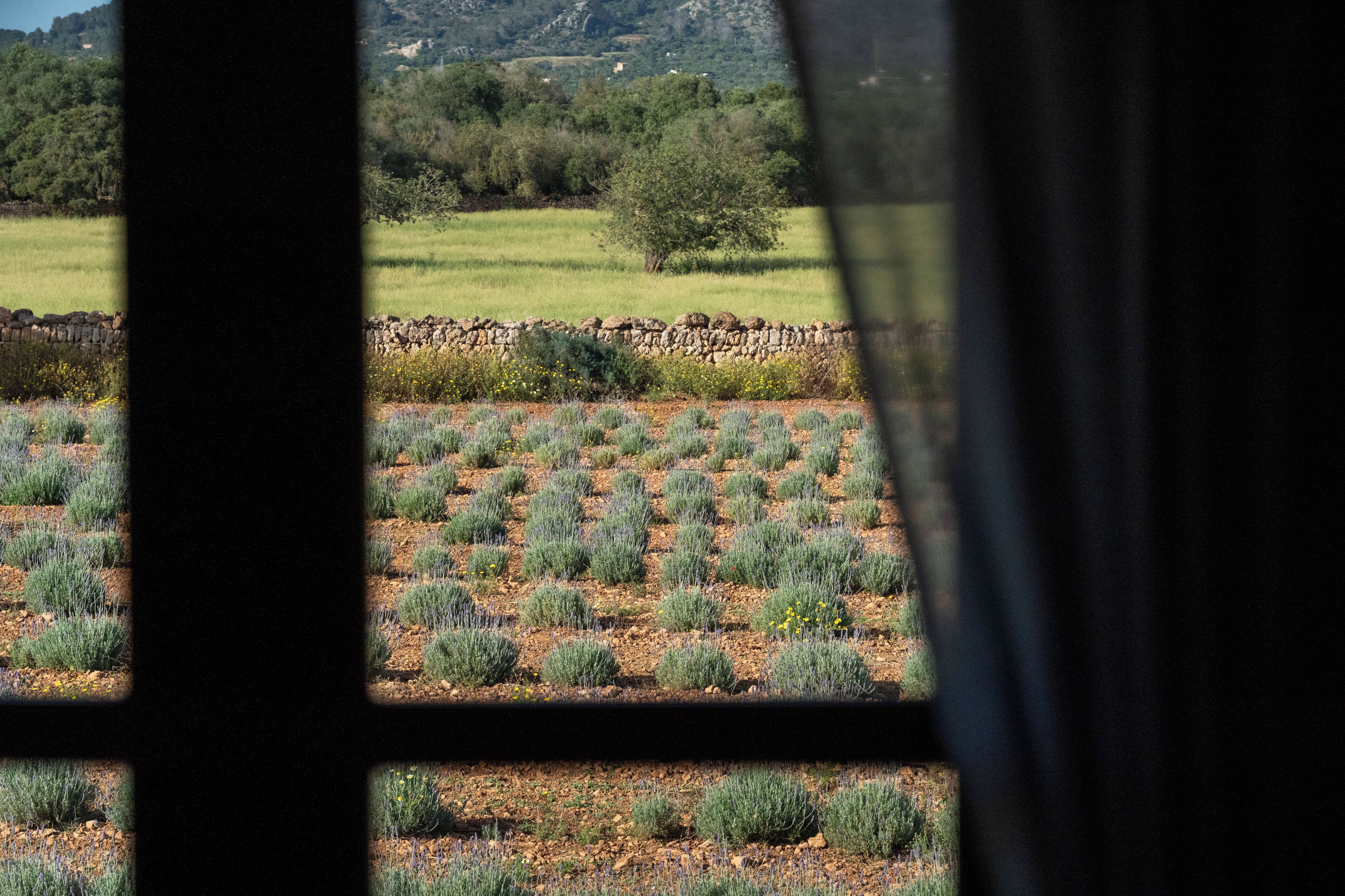 Photo - Hotel Agroturismo Finca Son Pieras