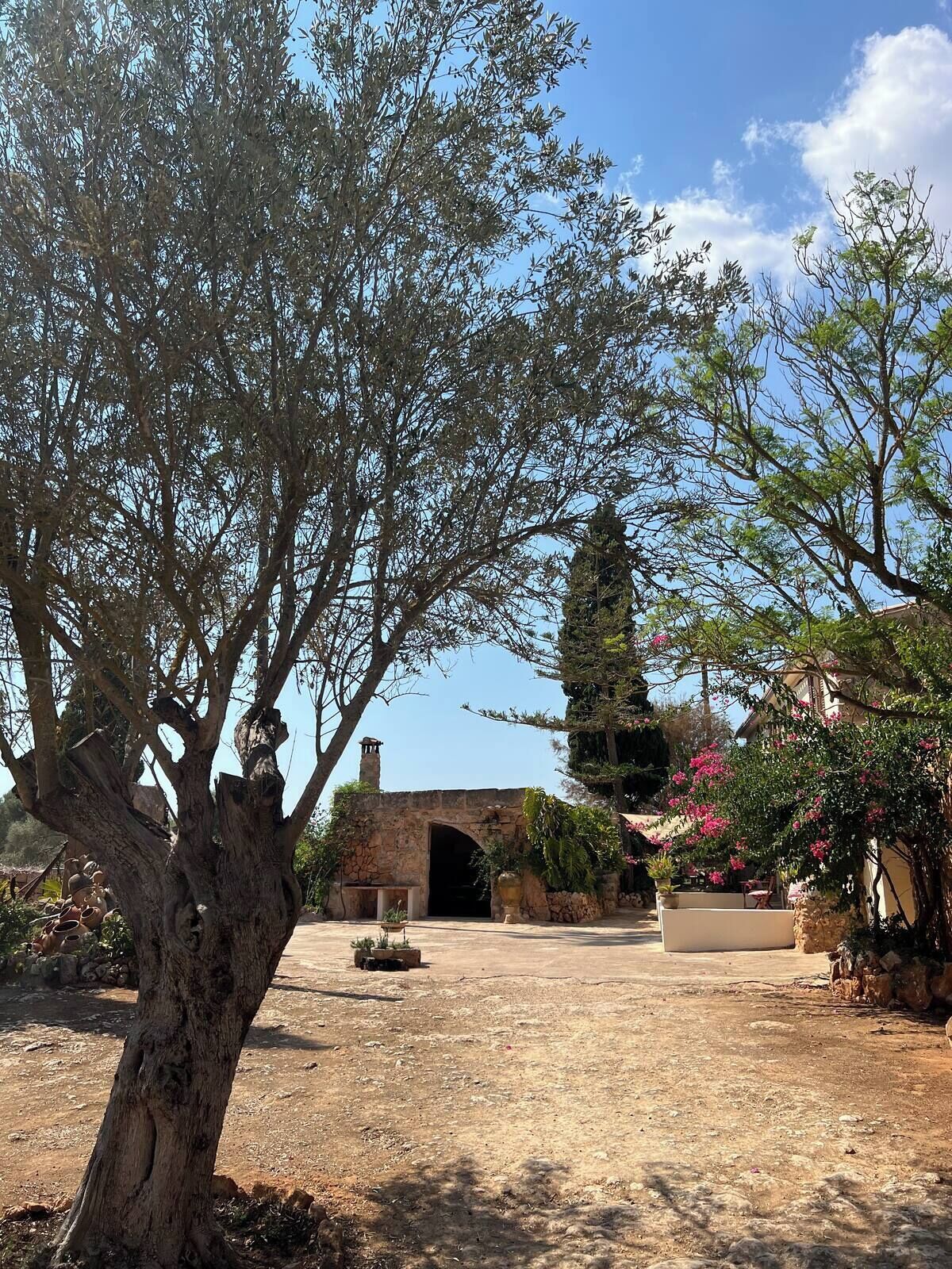 Photo - Agroturismo Finca Son Pieras