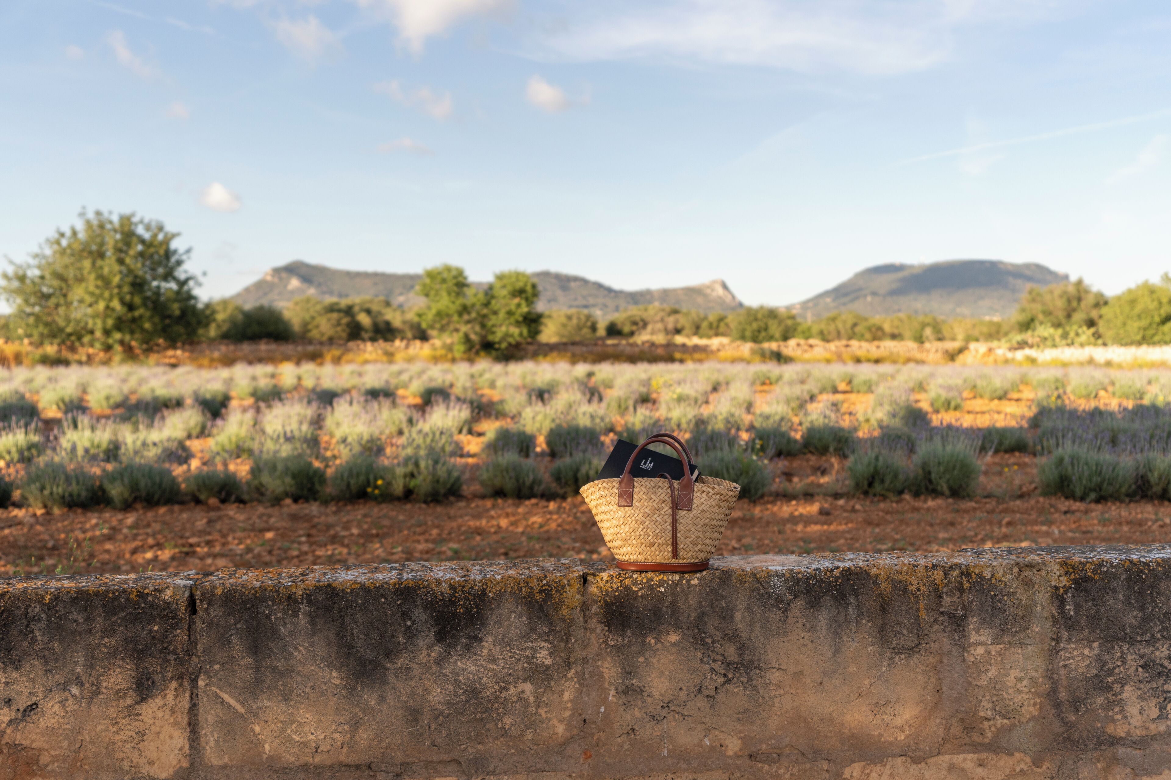 Photo - Hotel Agroturismo Finca Son Pieras