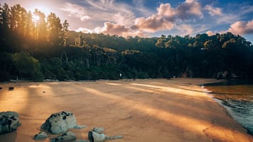 Una playa con una colina boscosa al fondo, cielo despejado y el sol poniéndose o saliendo.