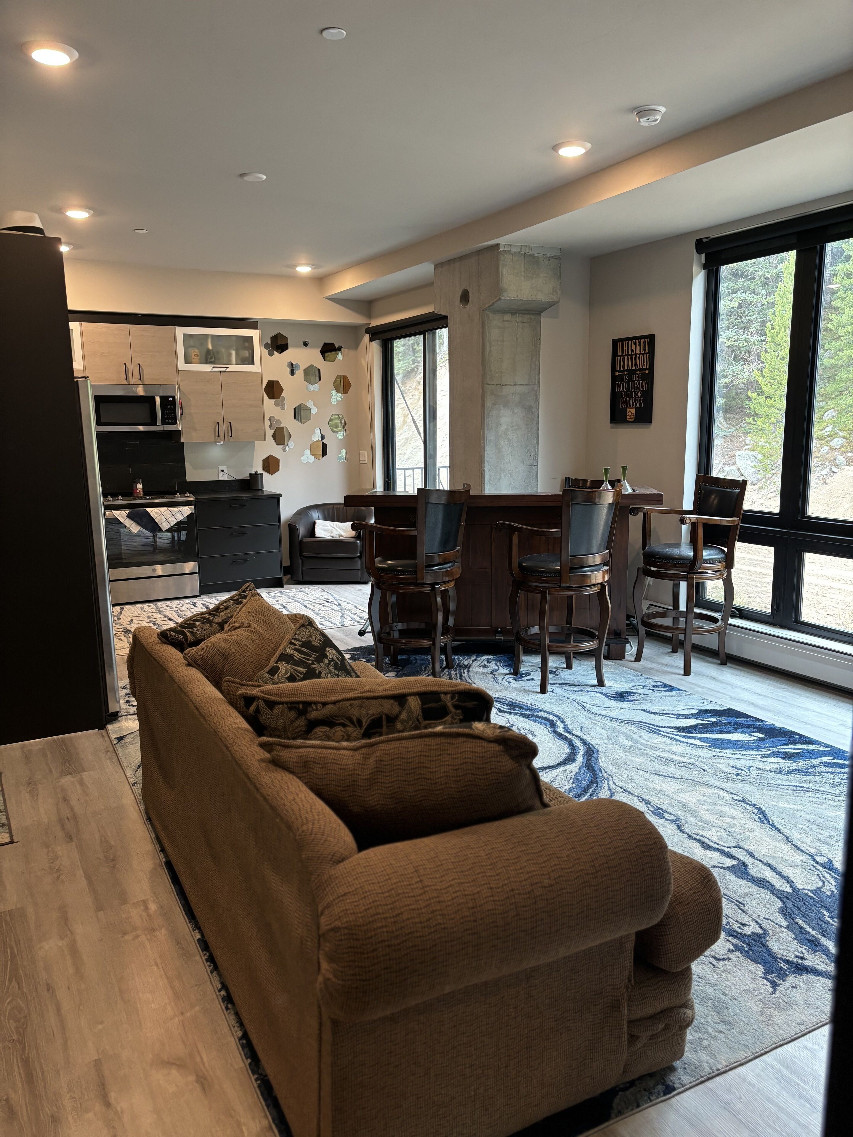 Smart TV, fireplace, books, music library