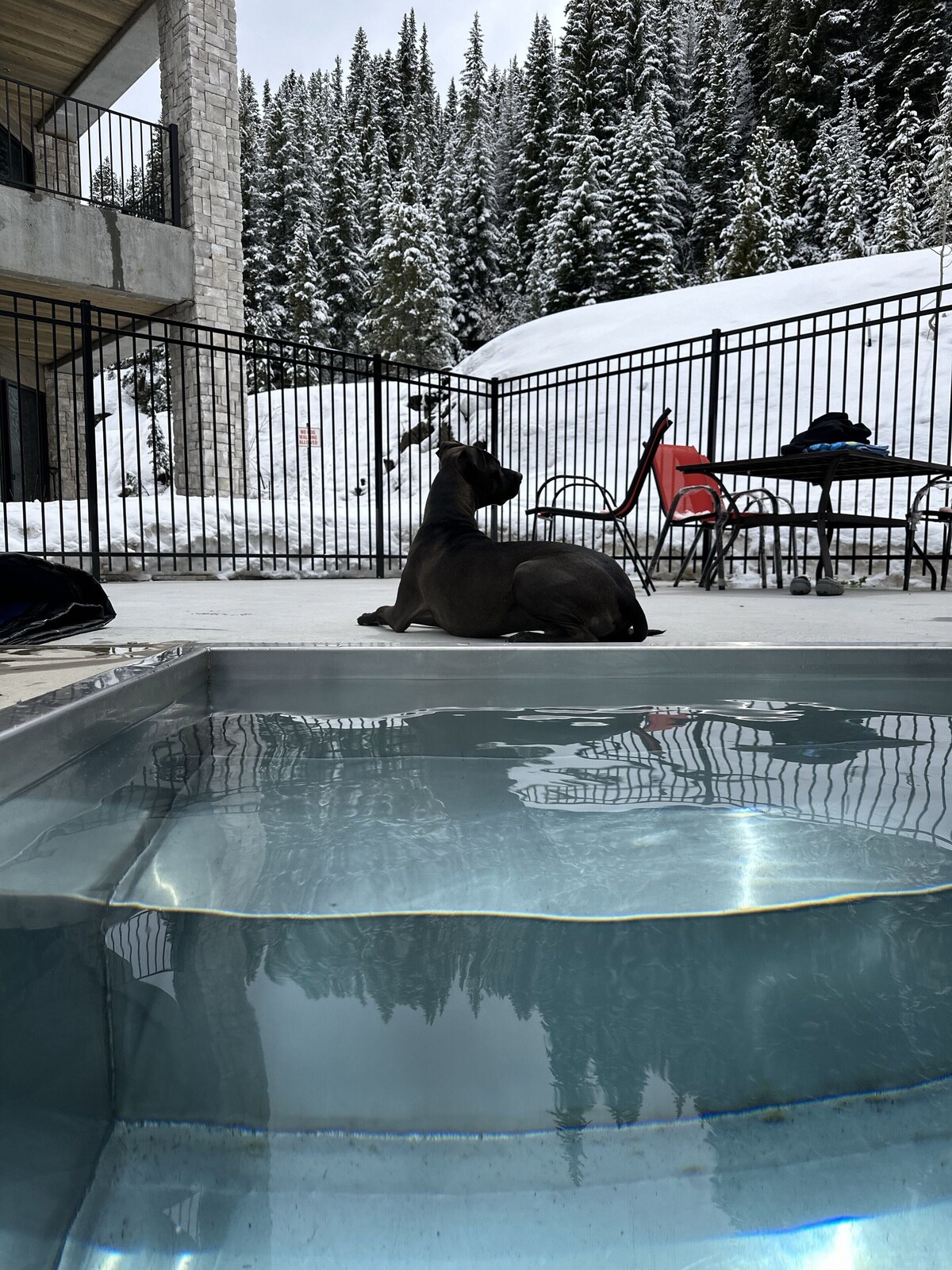 Image de profil de l’hôte