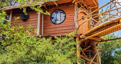 The Hobbit's Nest, A Magical Dog-friendly Treehouse in the Lost Pines Shire