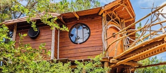 The Hobbit's Nest, A Magical Dog-friendly Treehouse in the Lost Pines Shire