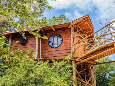 The Hobbit's Nest, A Magical Dog-friendly Treehouse in the Lost Pines Shire