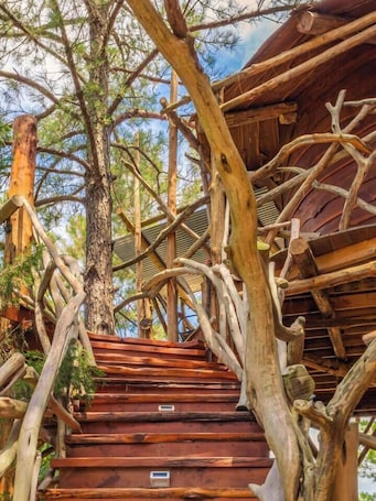 Property grounds. The Hobbit's Nest, A Magical Dog-friendly Treehouse in the Lost Pines Shire