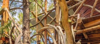 The Hobbit's Nest, A Magical Dog-friendly Treehouse in the Lost Pines Shire