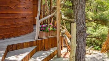 A wooden staircase leading to a cabin with a wooden deck and a tree.