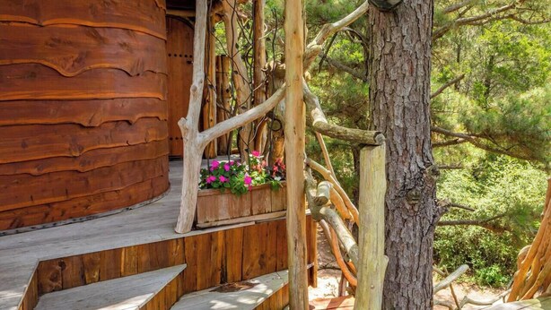 A wooden staircase leading to a cabin with a wooden exterior and a wooden deck. - The Hobbit's Nest, A Magical Dog-friendly Treehouse in the Lost Pines Shire (Paige)