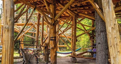 The Hobbit's Nest, A Magical Dog-friendly Treehouse in the Lost Pines Shire