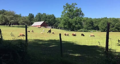 Woolly Acres Farm