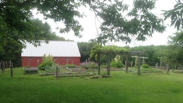 Área da propriedade