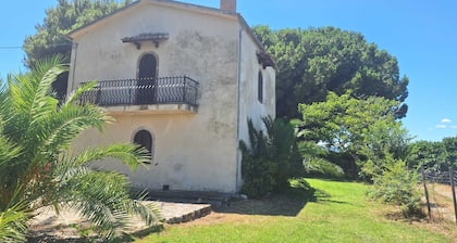 House in a romantic citrus grove, private access to the beach, relax and tranquility!