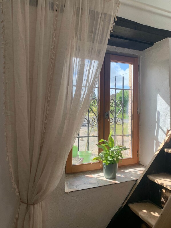 A room with a window, a curtain, a potted plant, and a staircase.