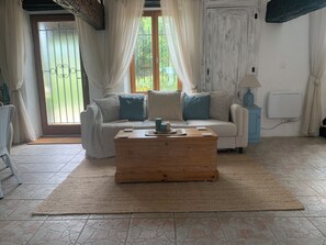 TV connectée, cheminée, livres, vidéothèque