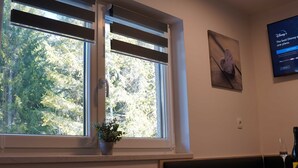 Una habitació amb una finestra gran, una planta en test amb el para-ventanals, un pantall fixat a la paret que mostra Disney+, i una taula amb un got i una ampolla.