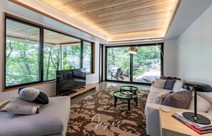 Smart TV, fireplace, books