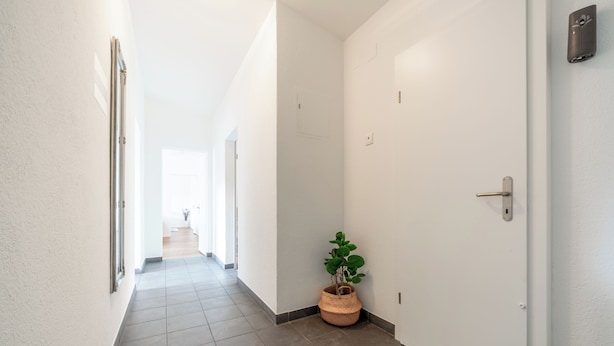 A hallway with a potted plant, a door with a handle, and a light switch on the wall.
