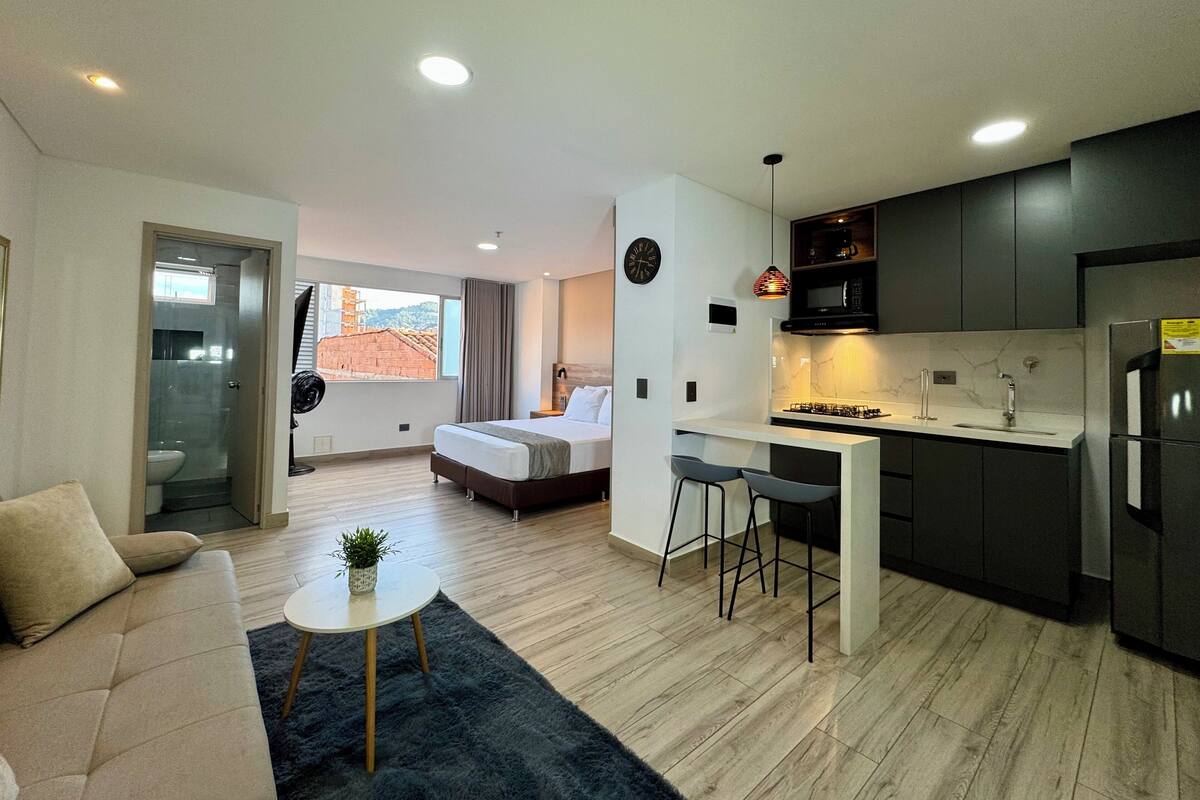 Deluxe Studio | Private kitchen | Full-size fridge, microwave, stovetop, dishwasher