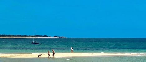 Plage à proximité