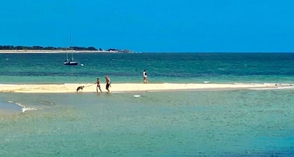 300 m. de la plage, piscine à 29°, 5 ch., 4 sdb, calme, espace