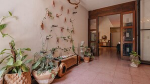 A hallway with potted plants, a wooden bench, and a wall decorated with various items. - Casa Sabina (Guadalajara)