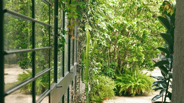 A narrow pathway flanked by potted plants and a metal gate, leading to a lush garden area. - Casa Sabina (Guadalajara)