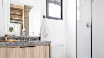 Executive Studio | Bathroom | Shower, hair dryer, towels
