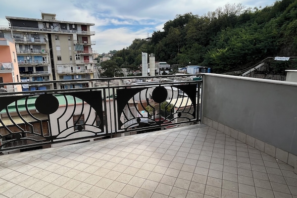 Àrea exterior de l'allotjament