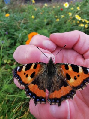Miscellaneous - Charming 3-bedroom house in enjoyable Westport with AC, WiFi (Westport)