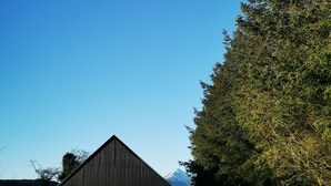 Un bâtiment moderne doté d’un toit en pente, entouré d’une végétation luxuriante et surplombé d’un ciel bleu clair.