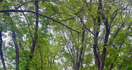 Home away from Home in the Twin Lakes Area! Relax on the Front Porch Swing!