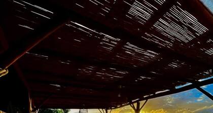 A ylang ylang room in the heart of nature