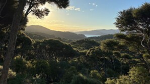 Un paysage naturel caractérisé par une végétation dense et une vue lointaine sur une étendue d’eau.