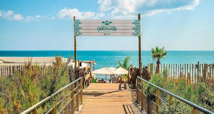 Entre Mer et Montagne dans le Vignoble