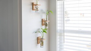 Eine an der Wand befestigte Pflanzenablage mit drei Glasvasen, in denen Pflanzen stehen, neben einem Fenster mit Jalousien.
