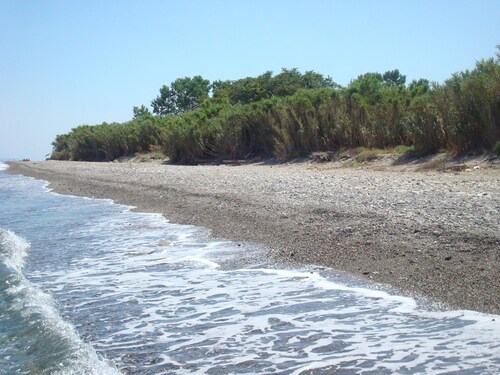 House in the greenery of a large citrus grove, private access to the beach.Relaxation and peace!