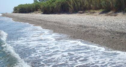 House in the greenery of a large citrus grove, private access to the beach.Relaxation and peace!