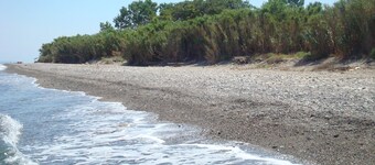 House in the greenery of a large citrus grove, private access to the beach.Relaxation and peace!