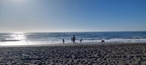 On the beach, sun loungers - Cozy cabin for 6 people on the beachfront of La Trinchera Beach (Curepto)