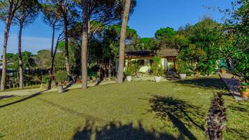 Áreas de la propiedad