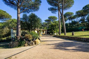 المنطقة المحيطة بالمنشأة