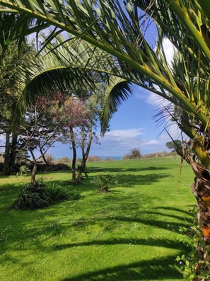 Surrounded by lush greenery, this serene landscape offers a peaceful escape.