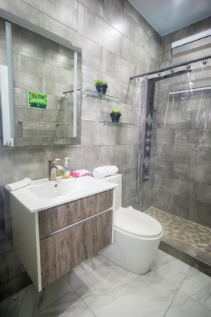 Shower, hair dryer, towels, soap - Distribución (mayaguez)