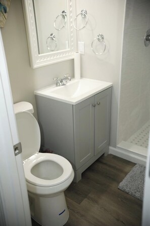 Shower, hair dryer, towels, shampoo