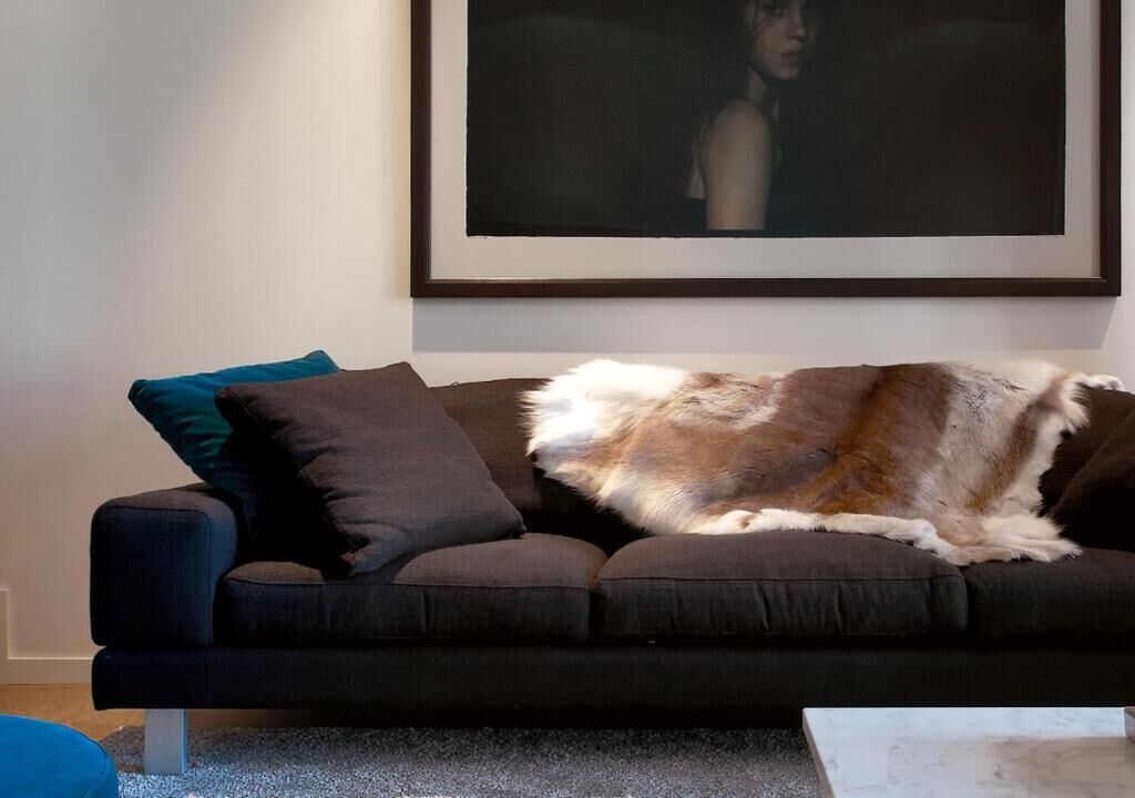 A living room with a sofa and a large dog lying on it.