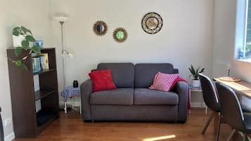 TV, DVD player, books