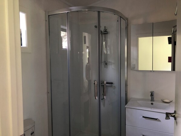 A modern bathroom with a glass-enclosed shower, a white sink, and a mirror above it.